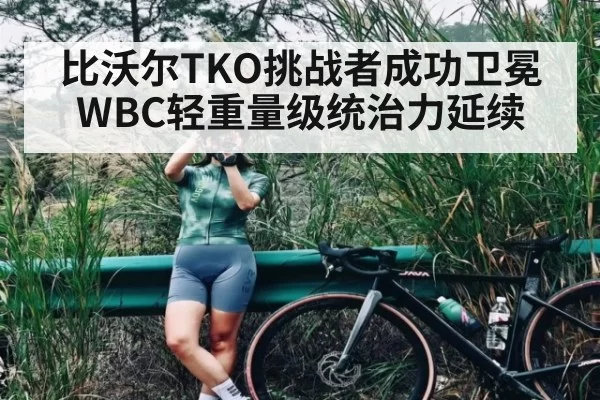 比沃尔TKO挑战者成功卫冕 WBC轻重量级统治力延续