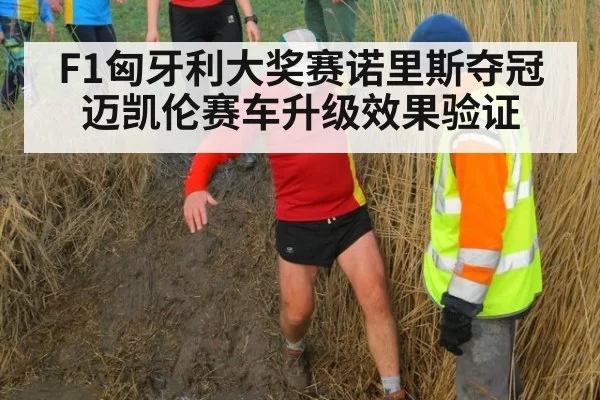 F1匈牙利大奖赛诺里斯夺冠 迈凯伦赛车升级效果验证